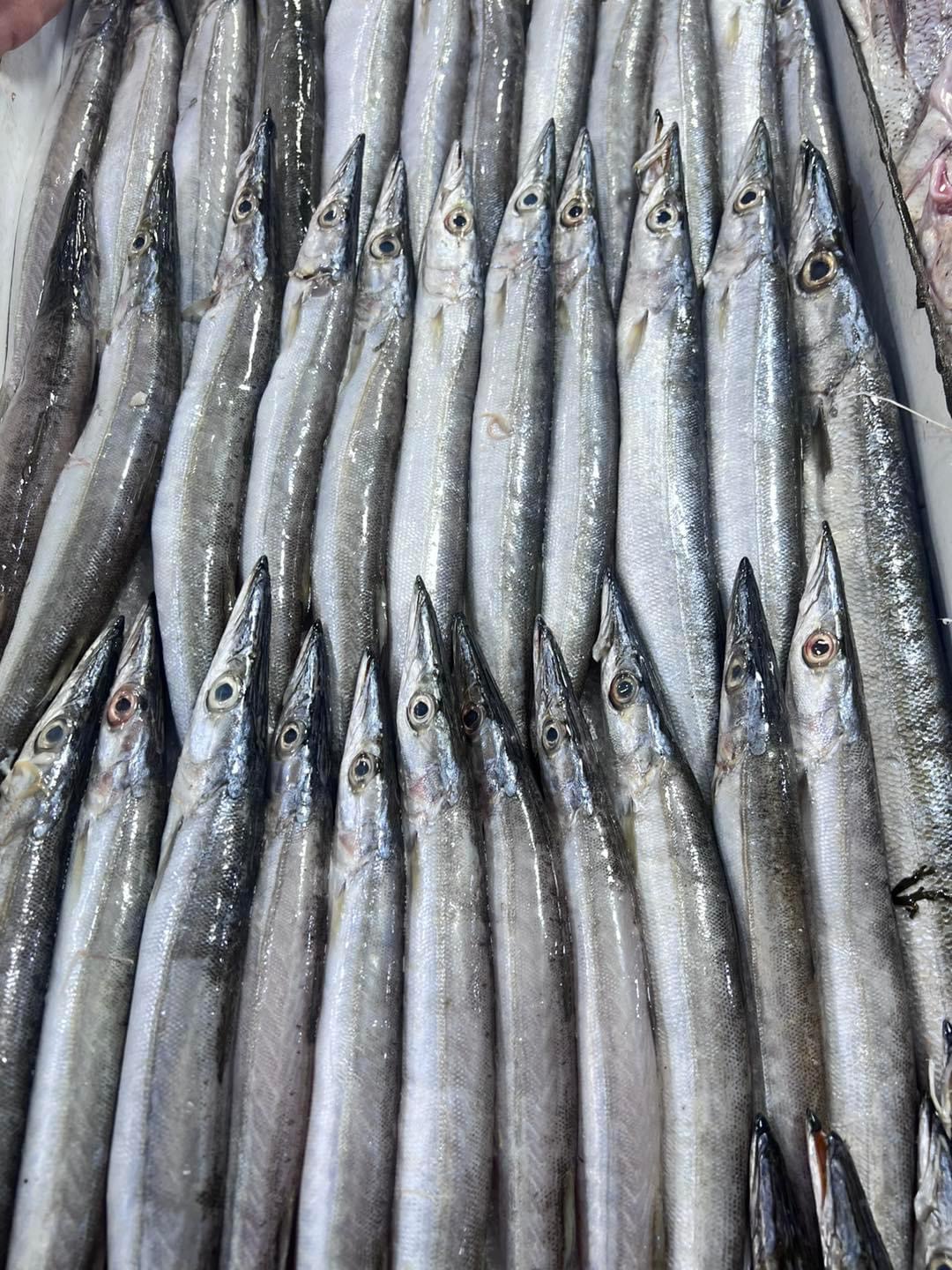 Brochet